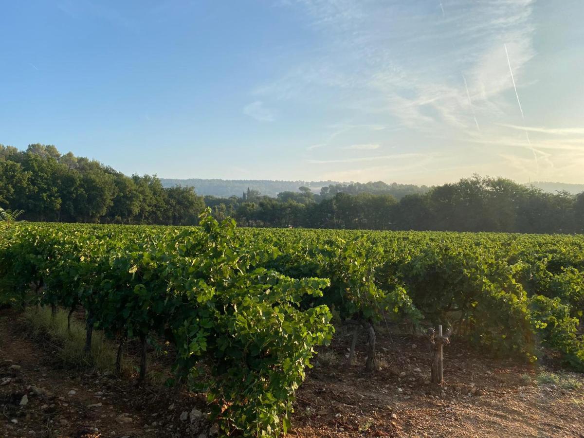 L'Eveil En Provence Bed & Breakfast Entrecasteaux Dış mekan fotoğraf