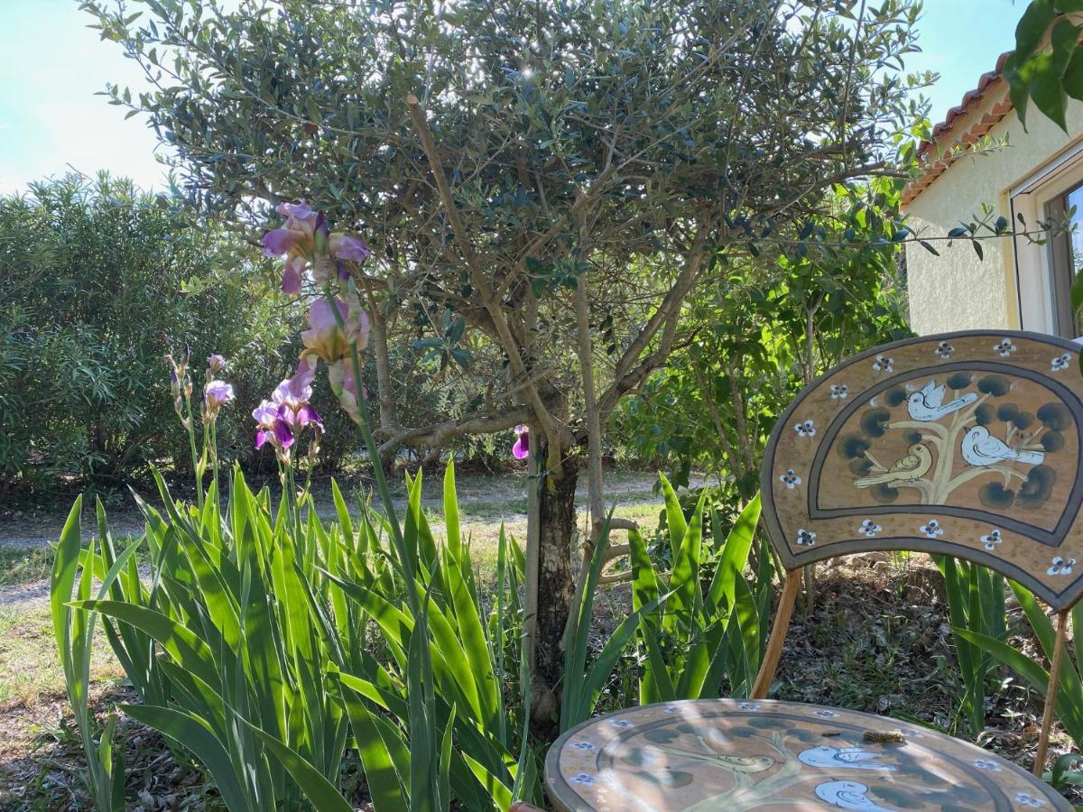 L'Eveil En Provence Bed & Breakfast Entrecasteaux Dış mekan fotoğraf
